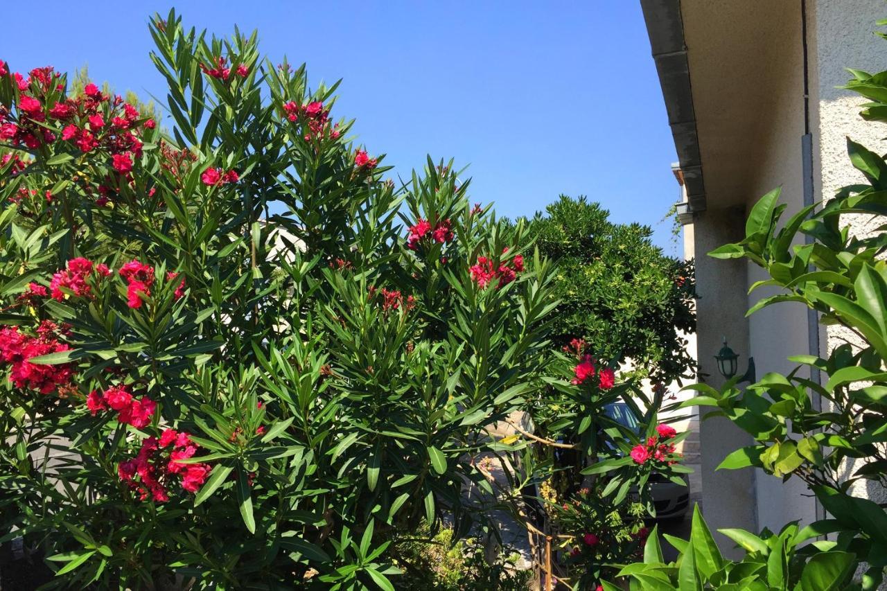 Apartments By The Sea Orebic, Peljesac - 11450 외부 사진