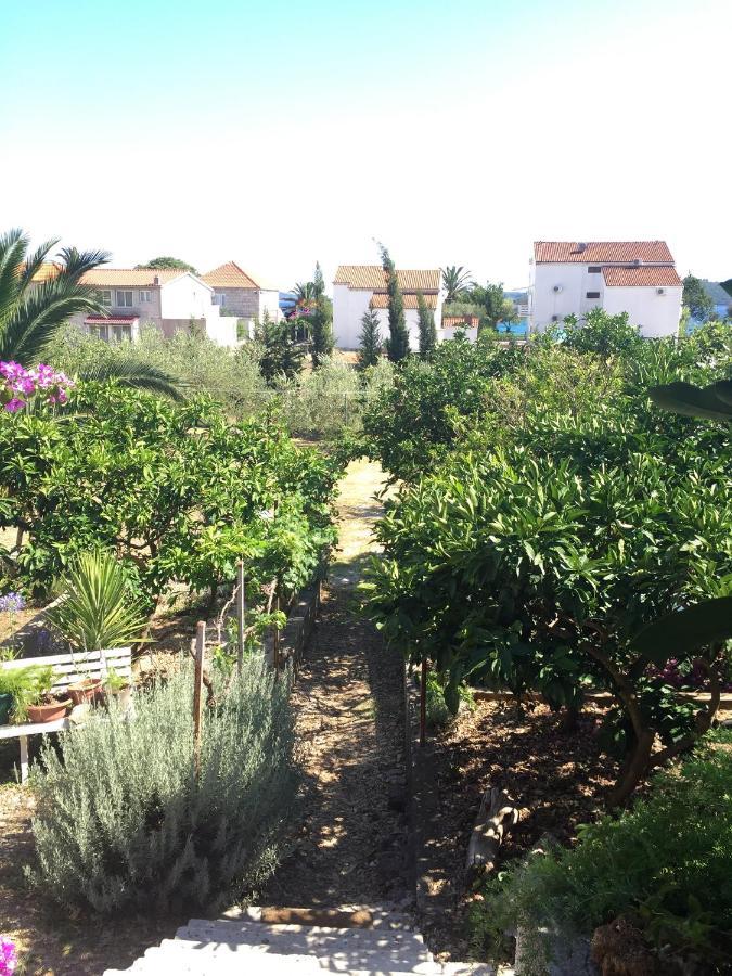 Apartments By The Sea Orebic, Peljesac - 11450 외부 사진